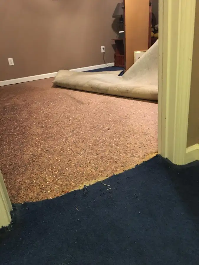 Carpet pad removal revealing water damage during Water Mitigation Services in North Arlington