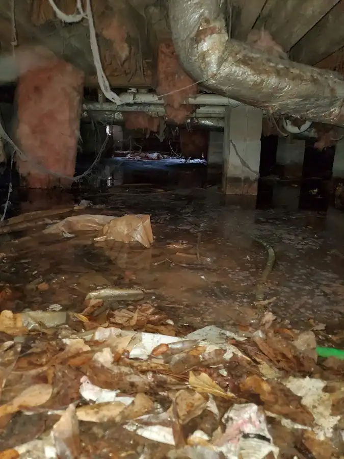 Crawl space flood assessment for Leak Detection & Repair in North Arlington