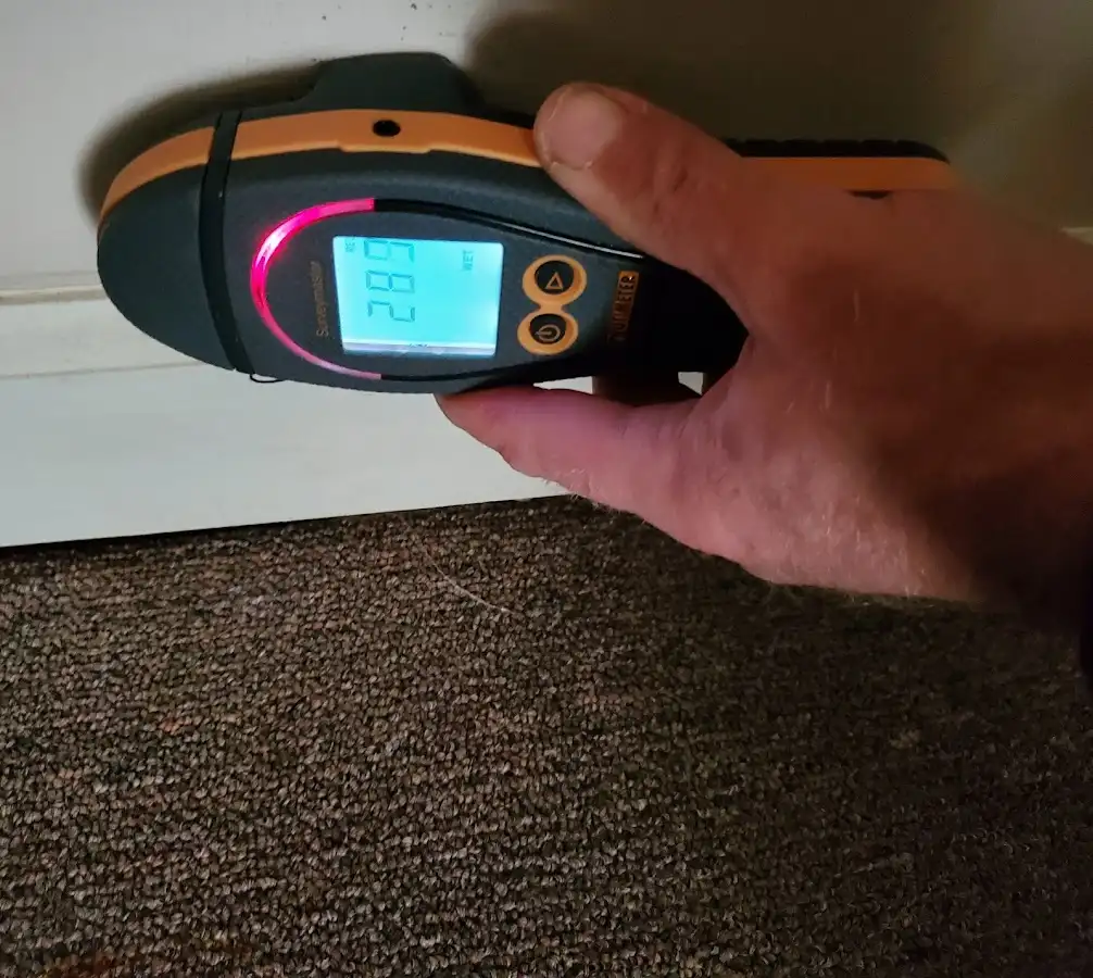 Moisture detection at baseboard during Sewage Cleanup & Sanitation in North Arlington